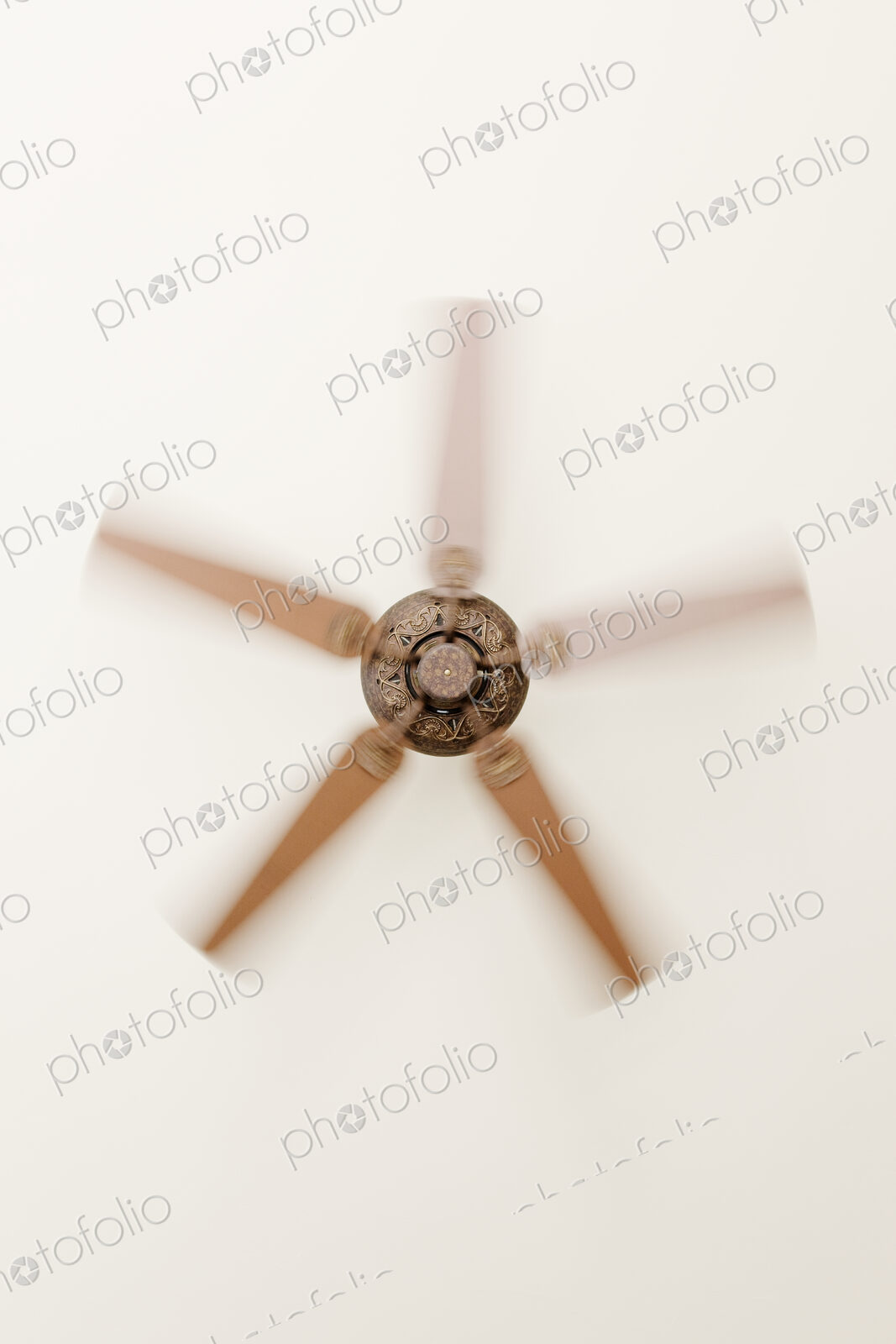 Indoor Ceiling Fan