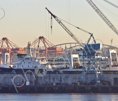 Industrial Harbor Scene