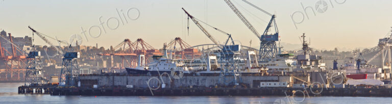 Industrial Harbor Scene