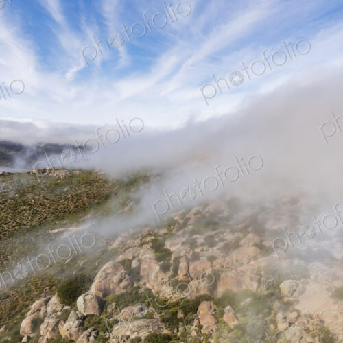 Inland Morning Fog (Malmokkies) from the cold Benguela Current along the Atlantic…