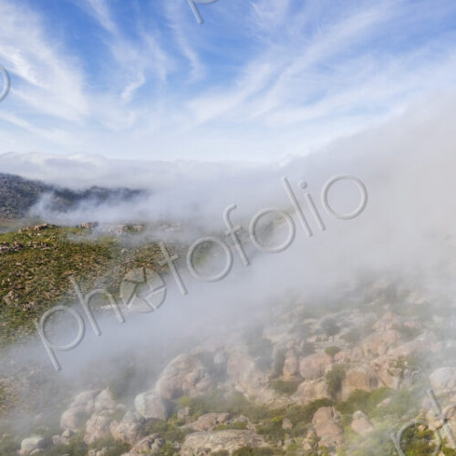 Inland Morning Fog (Malmokkies) from the cold Benguela Current along the Atlantic… Inland Morning Fog (Malmokkies) from the cold Benguela Current along the Atlantic…
