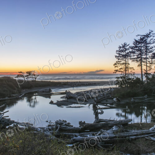 Inlet on Kaoloch Beach in Olympic National Park with large piles of driftwood. Inlet on Kaoloch Beach in Olympic National Park with large piles of driftwood.