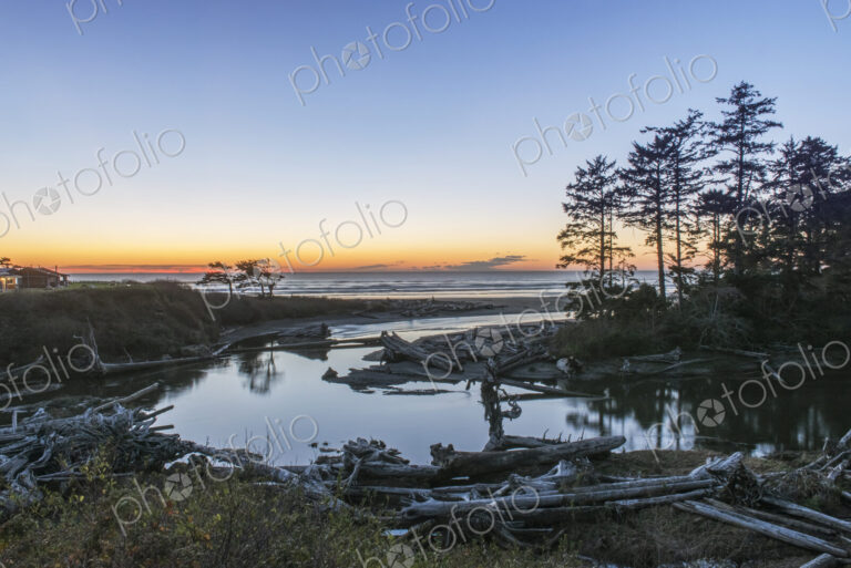 Inlet on Kaoloch Beach in Olympic National Park with large piles of driftwood.