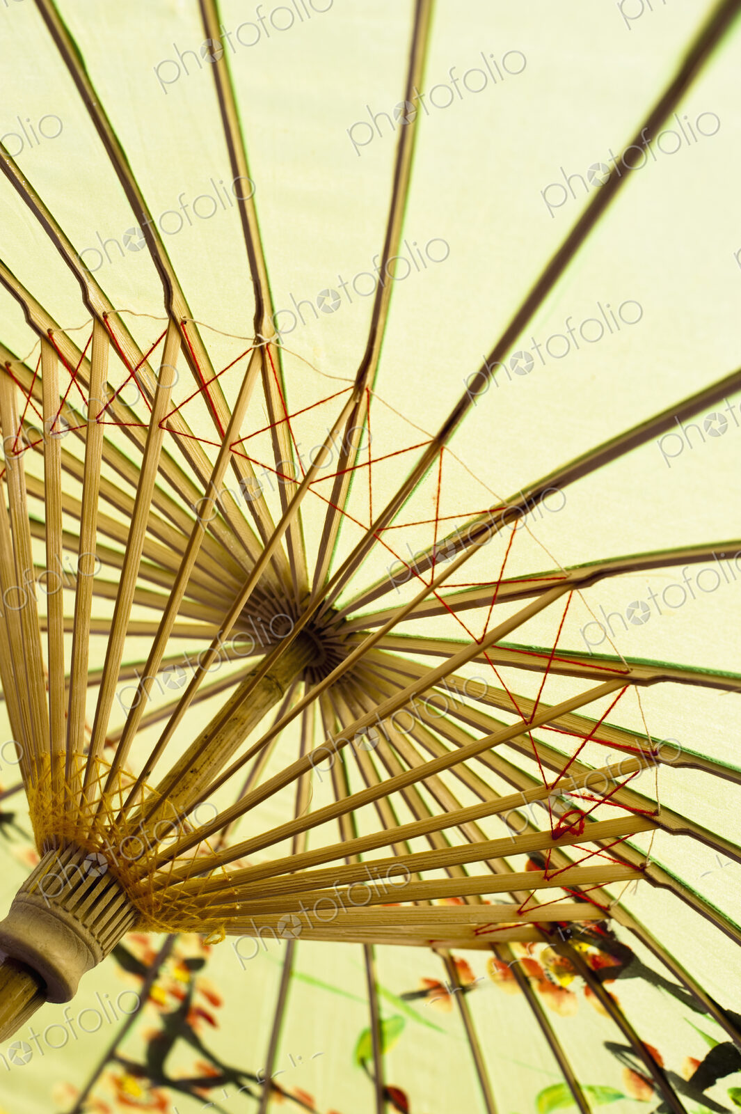 Inside of Parasol