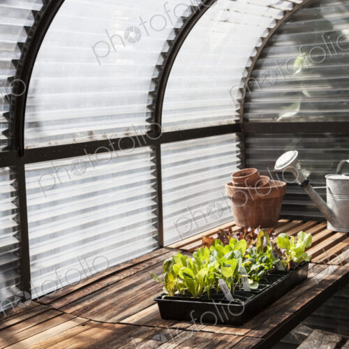 Interior of small new greenhouse.