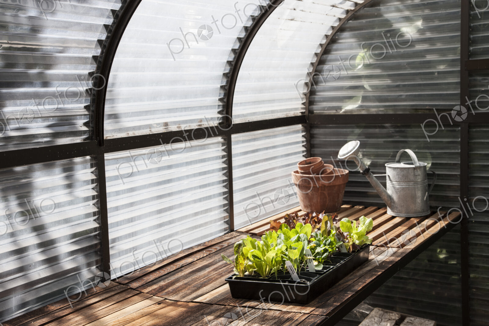 Interior of small new greenhouse.