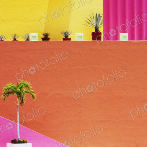 Interior with Tropical Motif Interior with Tropical Motif