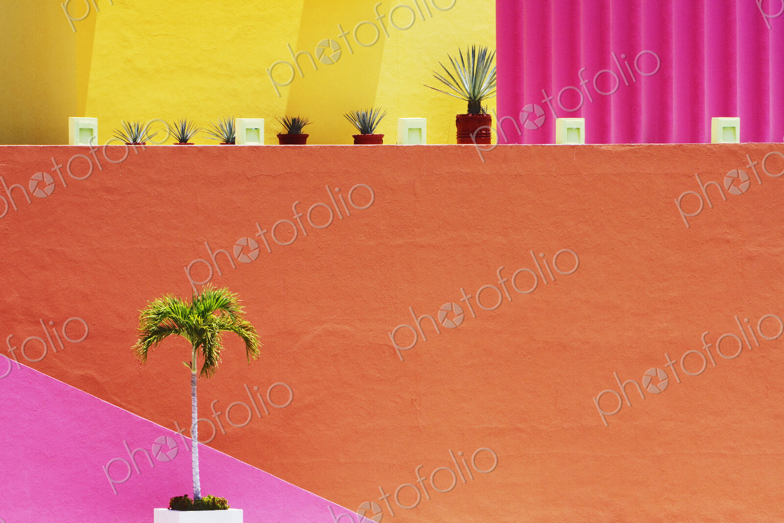 Interior with Tropical Motif