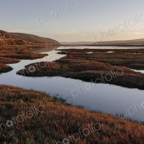 Intertidal estuary at dusk
