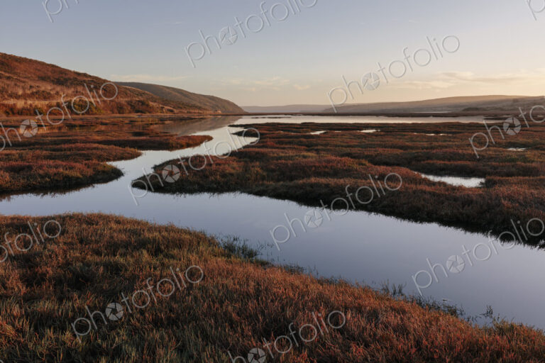 Intertidal estuary at dusk