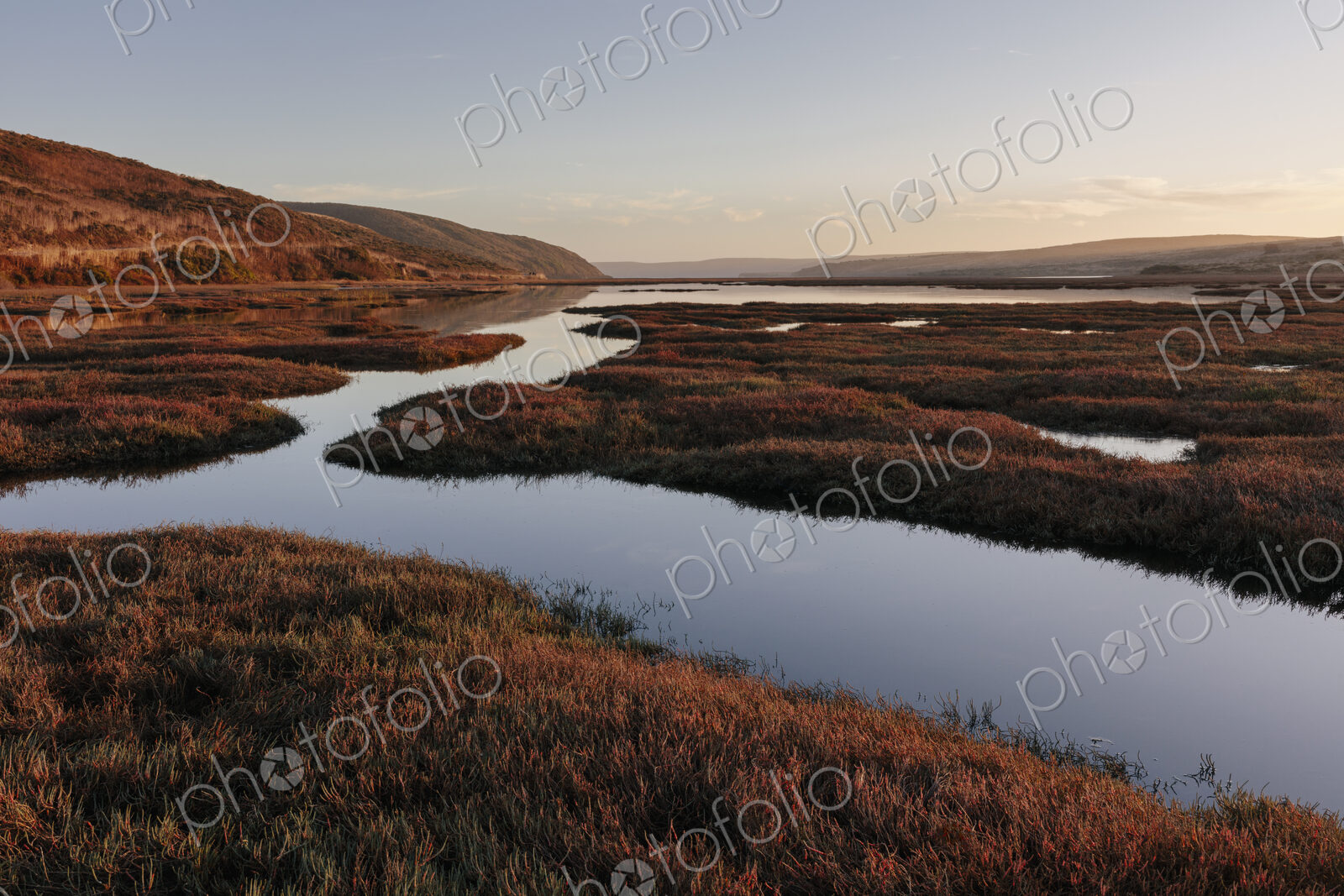 Intertidal estuary at dusk