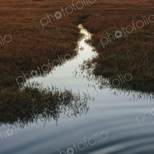 Intertidal estuary at dusk