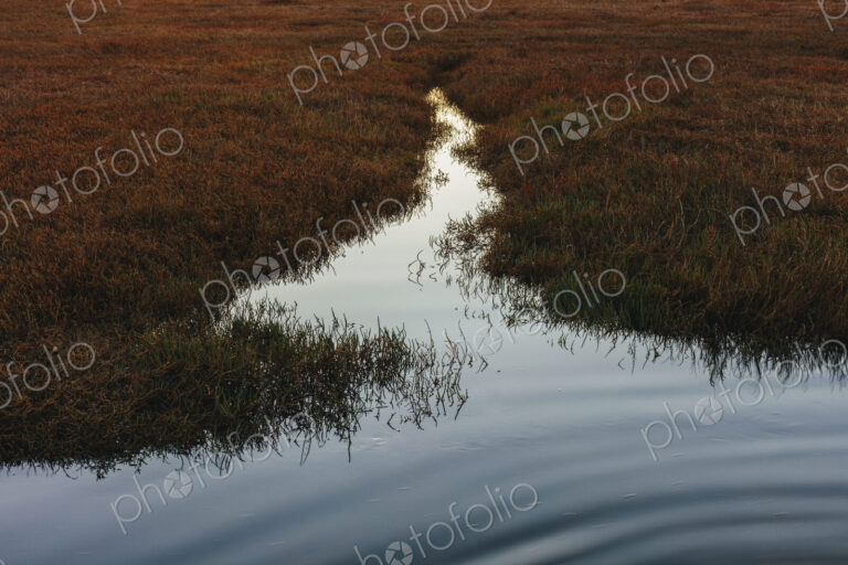 Intertidal estuary at dusk