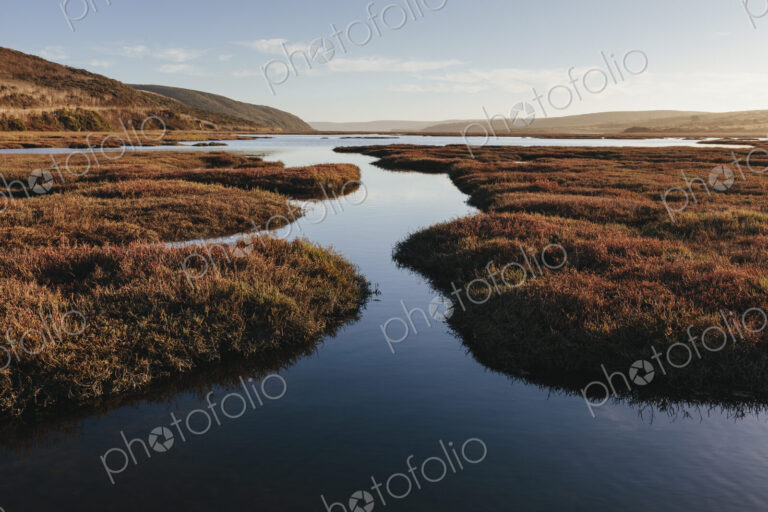 Intertidal estuary with water channels at dusk