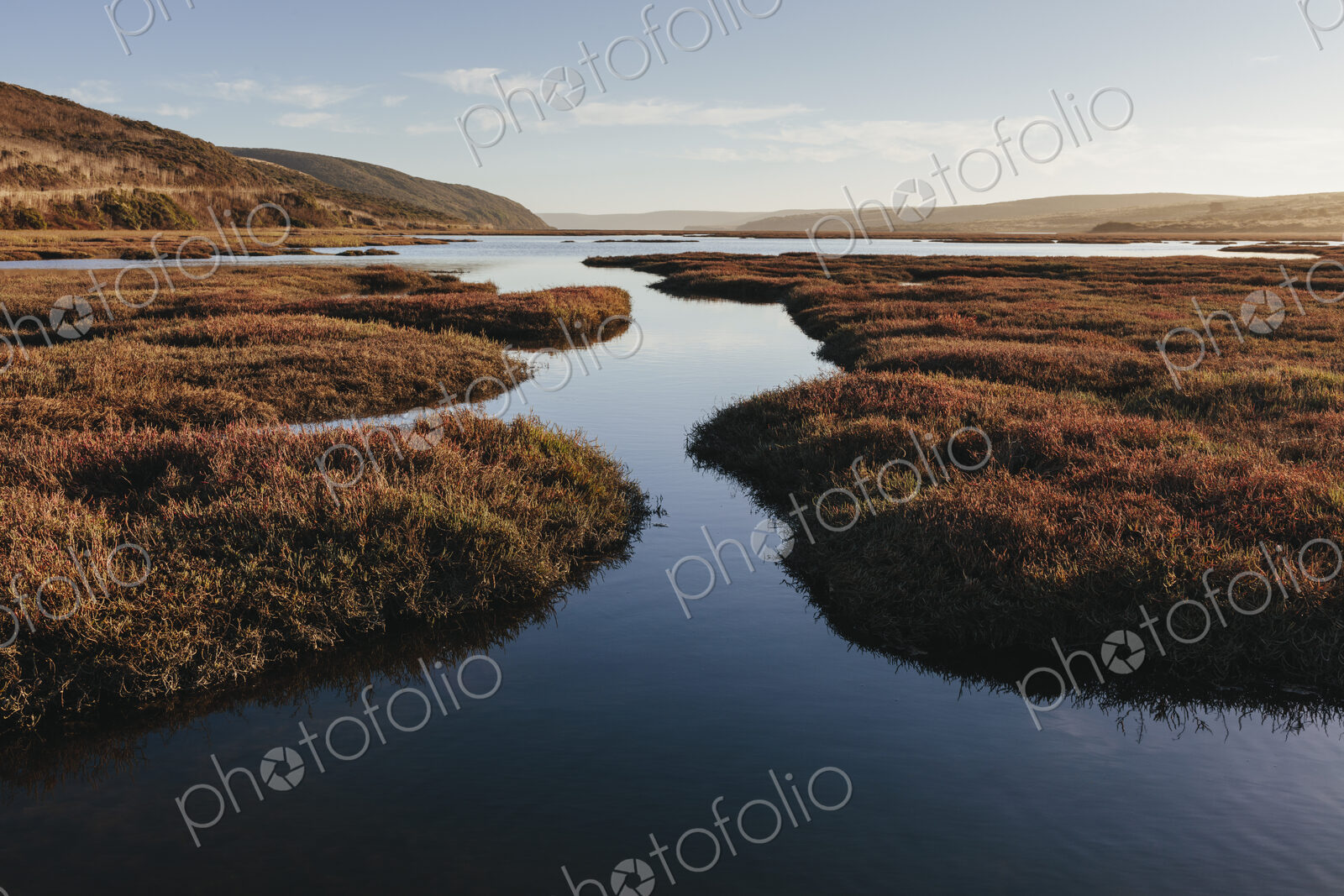 Intertidal estuary with water channels at dusk