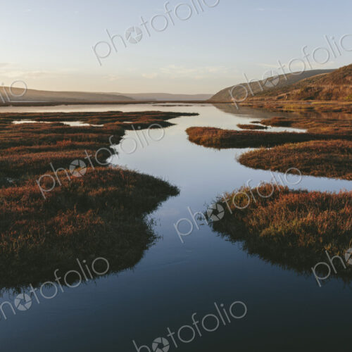 Intertidal estuary with water channels at dusk