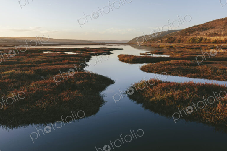 Intertidal estuary with water channels at dusk