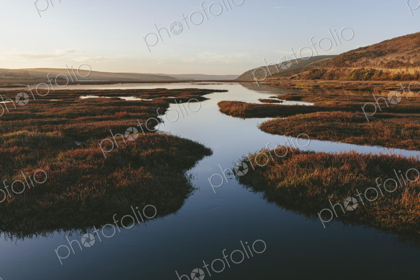 Intertidal estuary with water channels at dusk