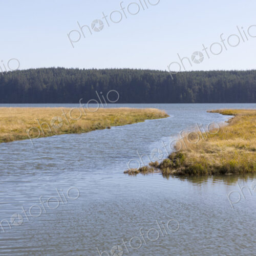Intertidal wetland at high tide, field of marsh grasses in distance, Naselle River,… Intertidal wetland at high tide, field of marsh grasses in distance, Naselle River,…