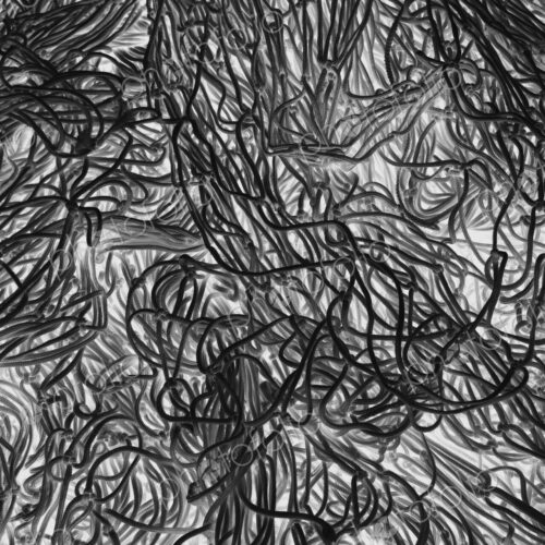 Inverted black and white image of commercial fishnets and ropes on a fishing quay.