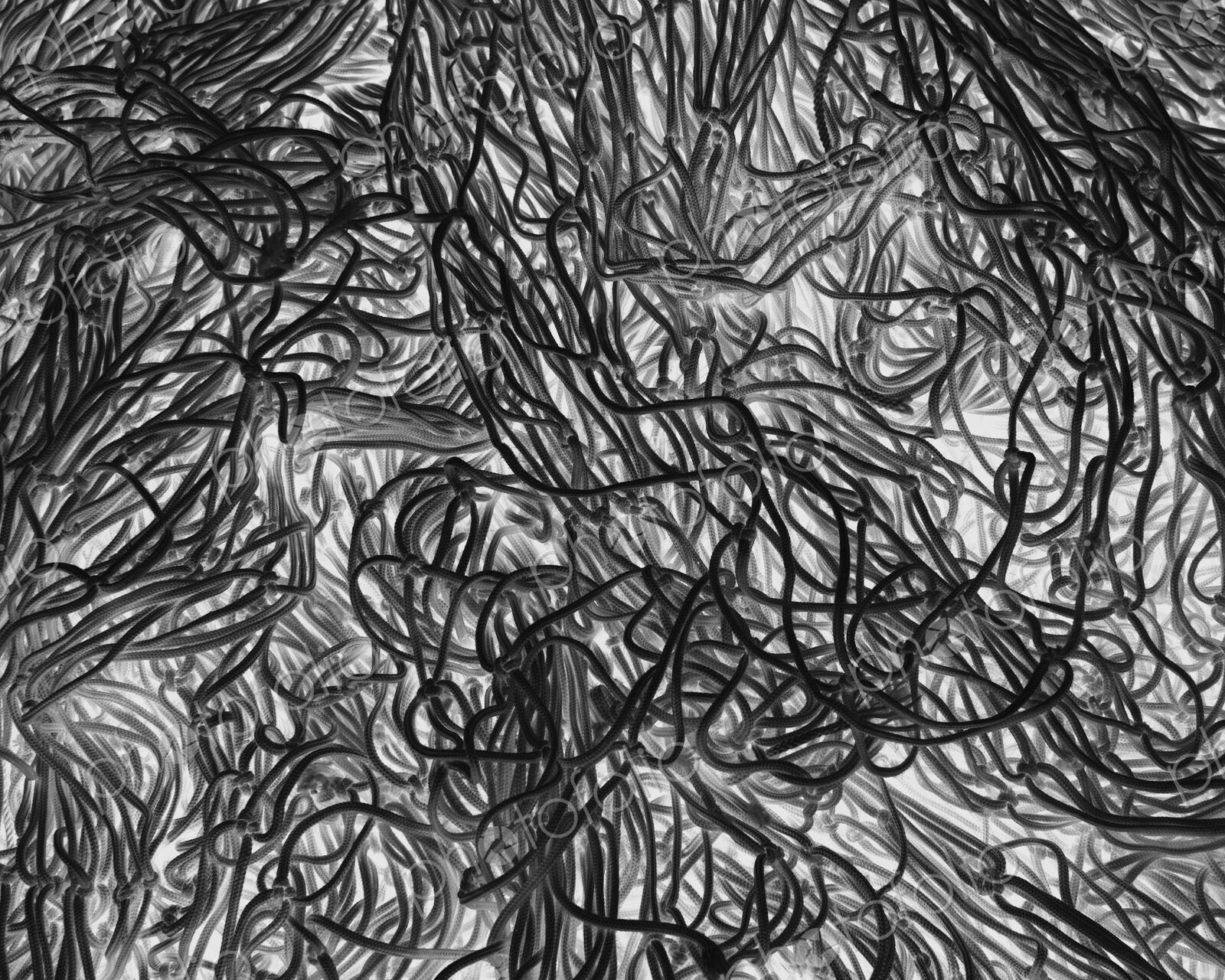 Inverted black and white image of commercial fishnets and ropes on a fishing quay.