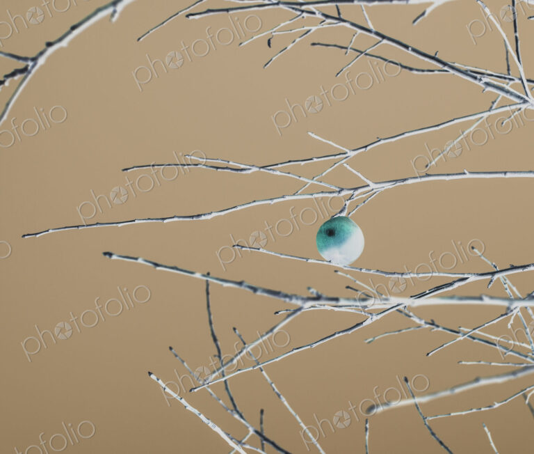 Inverted image, a single apple hanging on a branch in winter, brown background