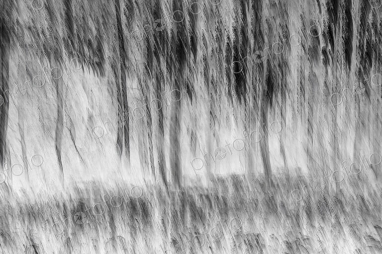 Inverted image of blurred aspen grove and meadow, near Leavenworth, Washington