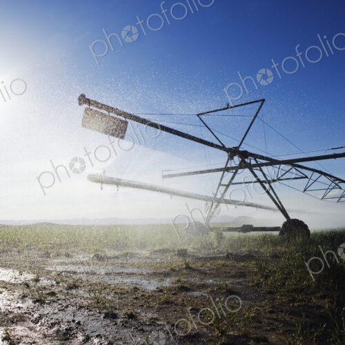 Irrigation Sprinkler in Field
