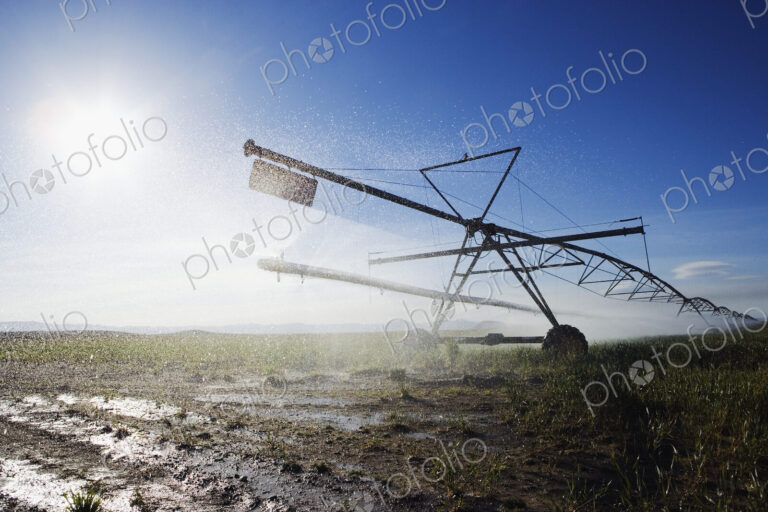 Irrigation Sprinkler in Field