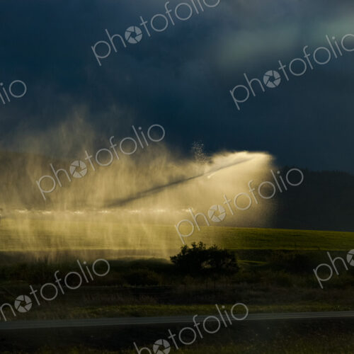 Irrigation sprinkler spraying water over crops on farmland, sunlit. Irrigation sprinkler spraying water over crops on farmland, sunlit.