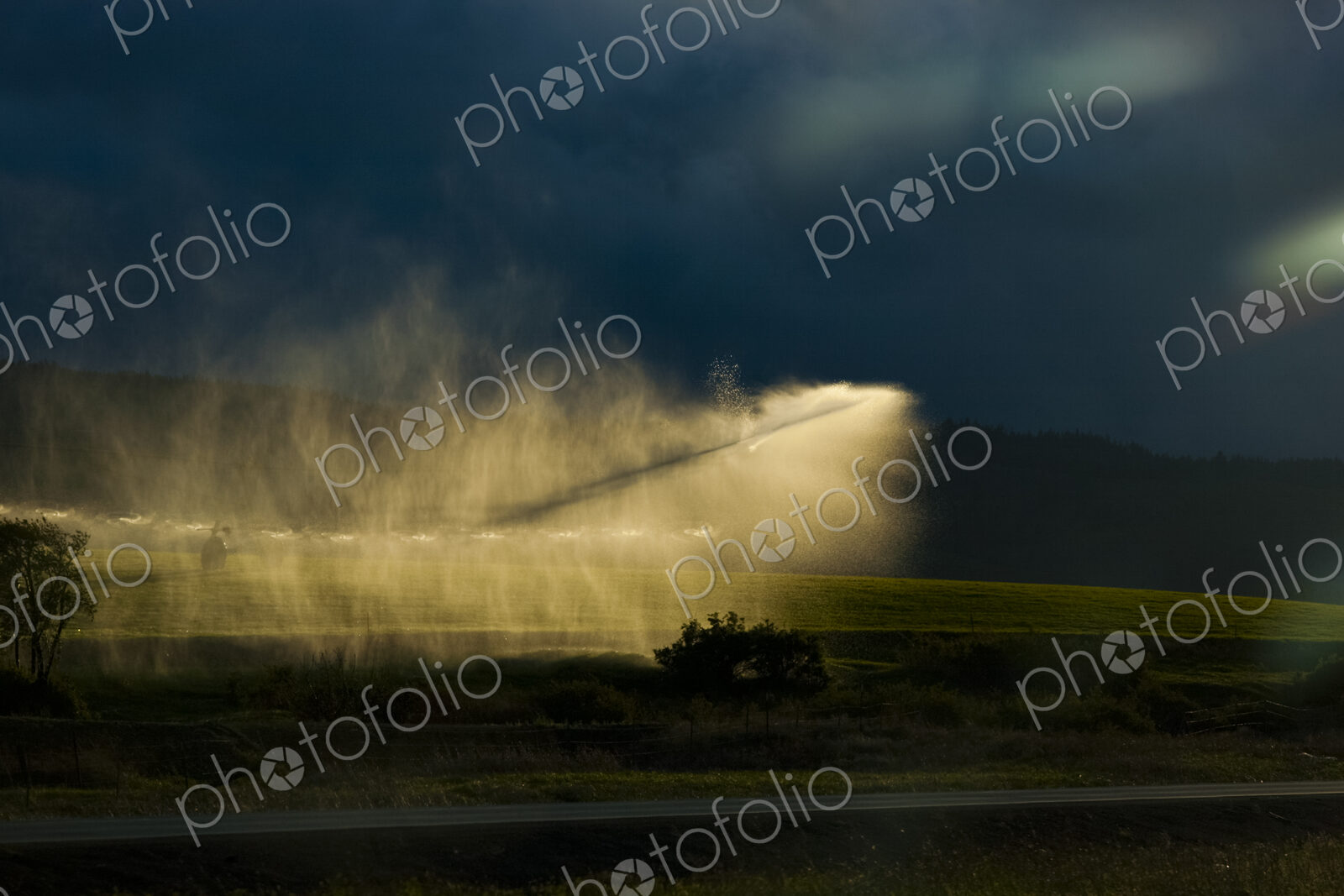 Irrigation sprinkler spraying water over crops on farmland, sunlit.