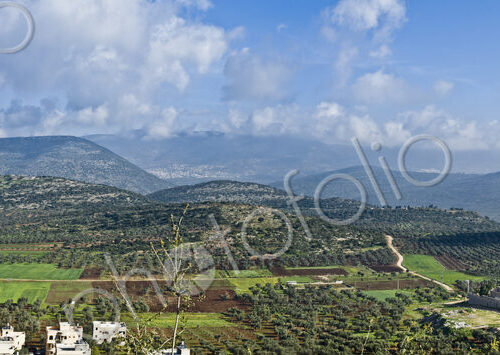 Israeli Valley Panorama