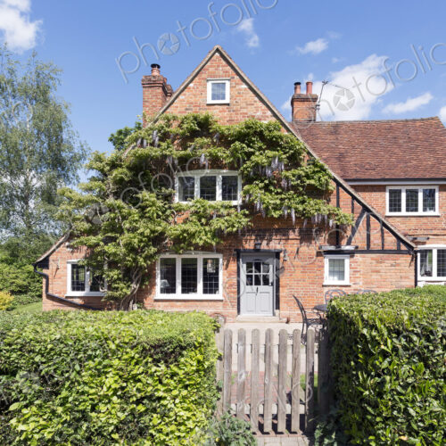 Ivy growing on house over front lawn Ivy growing on house over front lawn