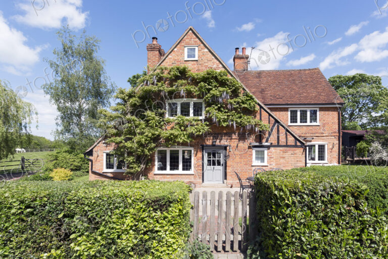 Ivy growing on house over front lawn