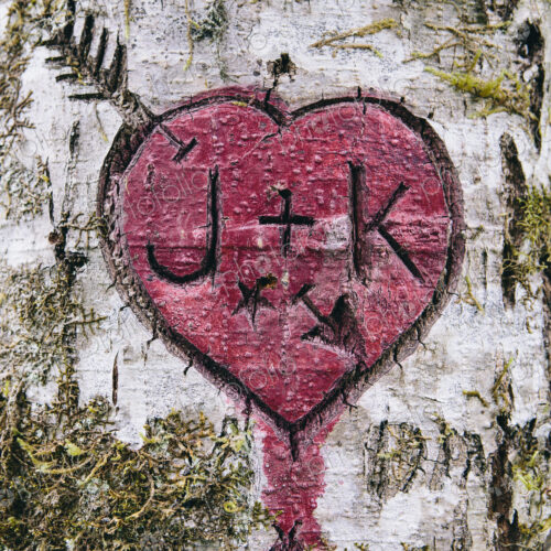 J+K and heart symbol carved in moss covered Alder tree, Olympic NP J+K and heart symbol carved in moss covered Alder tree, Olympic NP