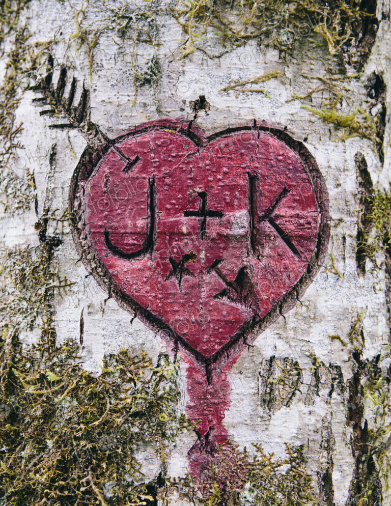 J+K and heart symbol carved in moss covered Alder tree, Olympic NP