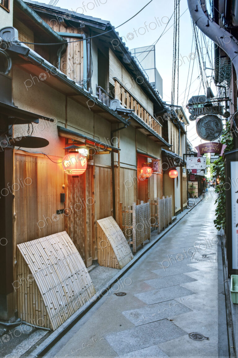 Japanese Alleyway