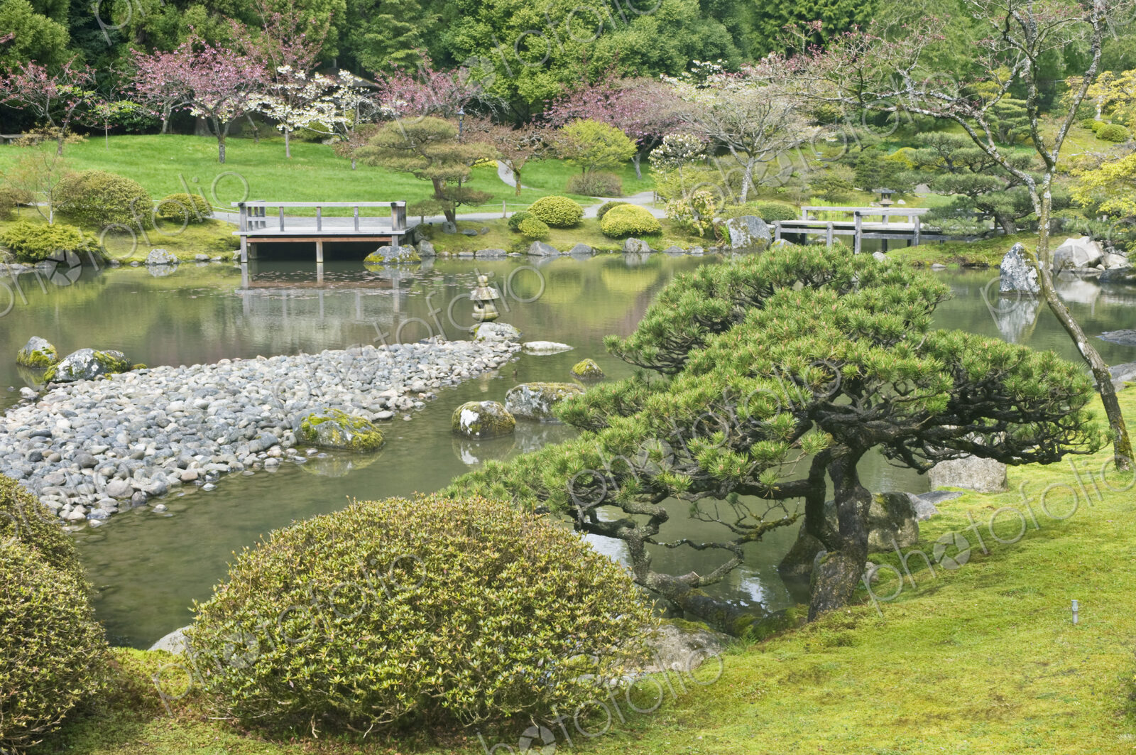 Japanese Arboretum