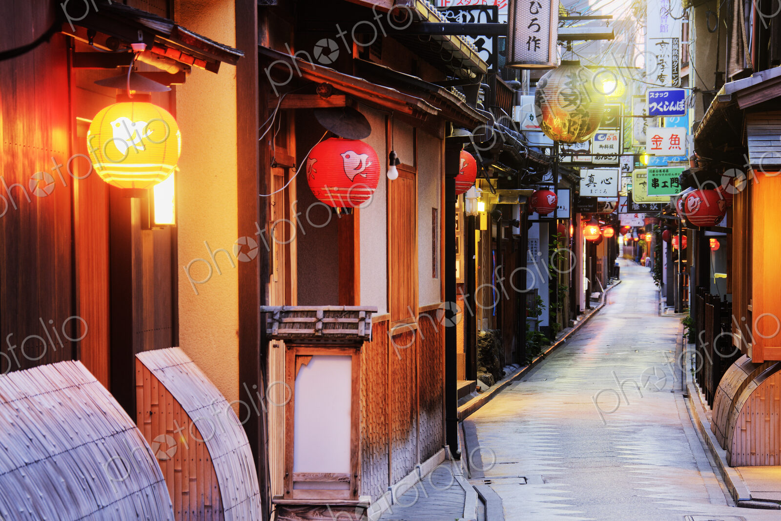 Japanese Businesses on a Pedestrian Street