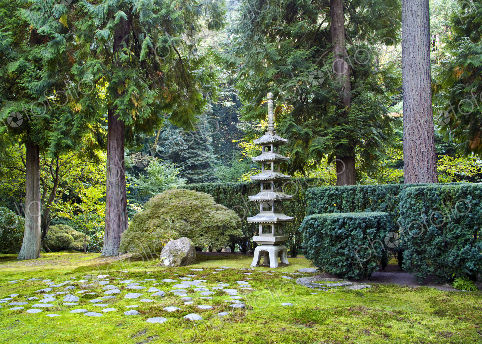 Japanese Garden