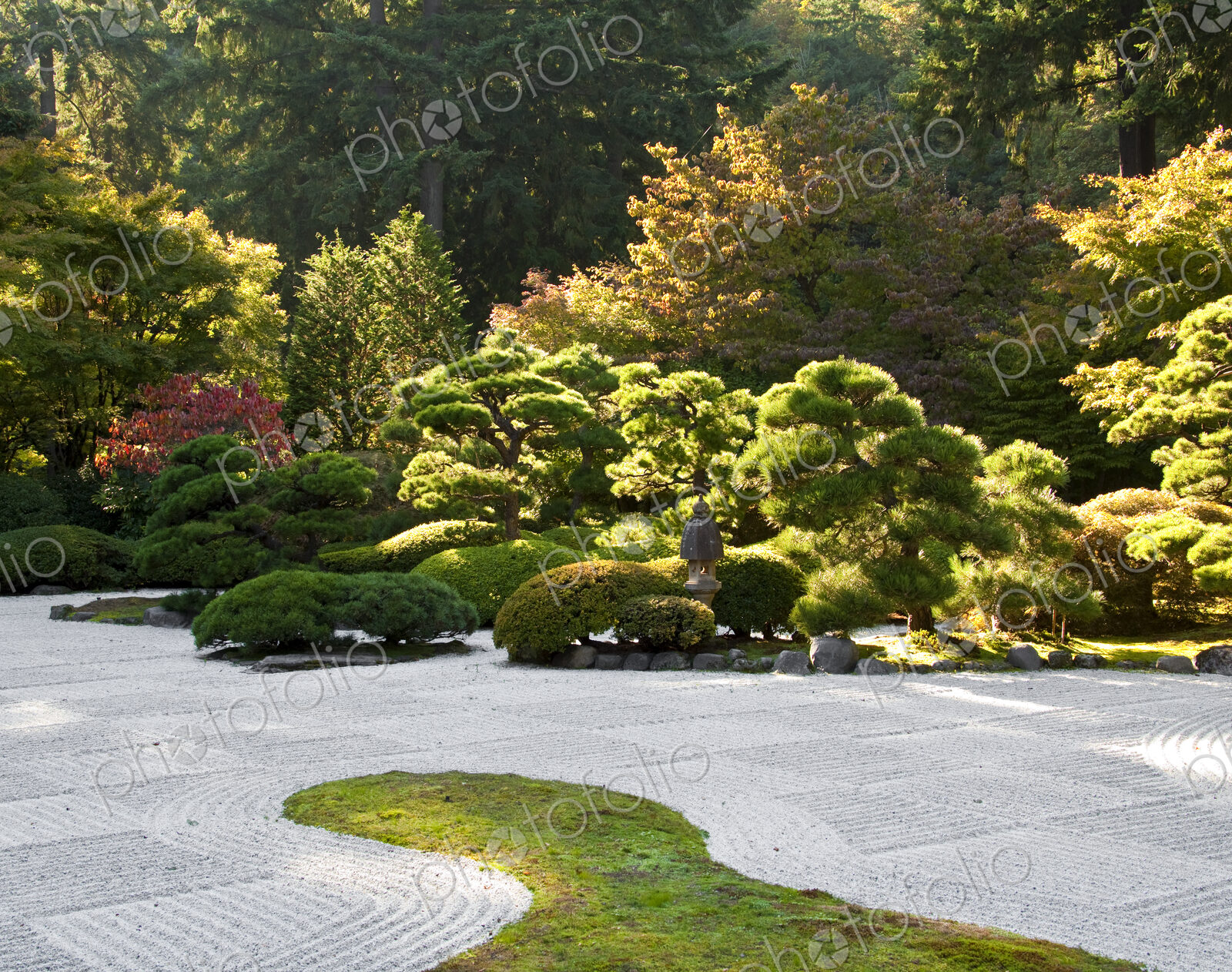 Japanese Garden