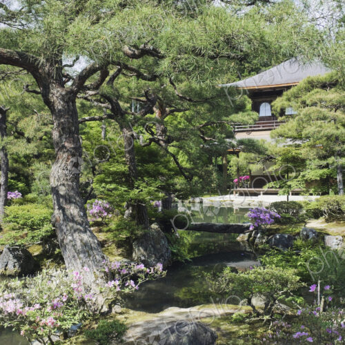 Japanese Garden and Pond Japanese Garden and Pond