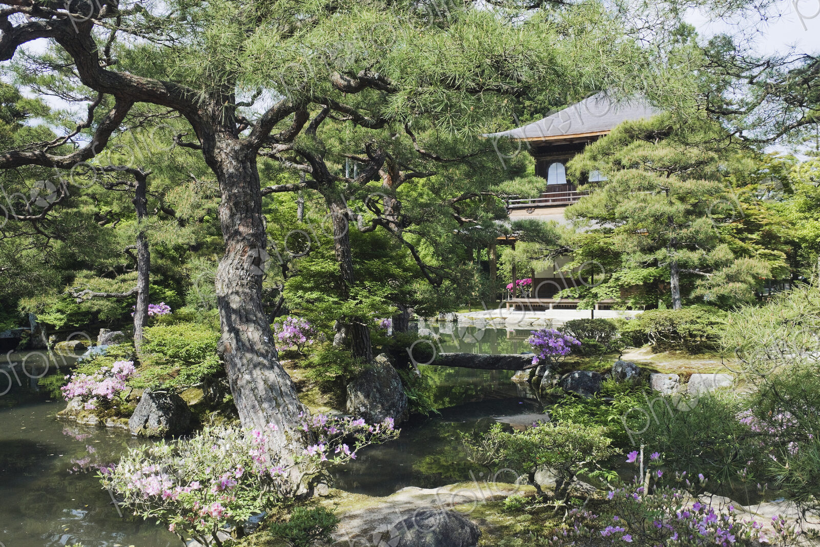 Japanese Garden and Pond
