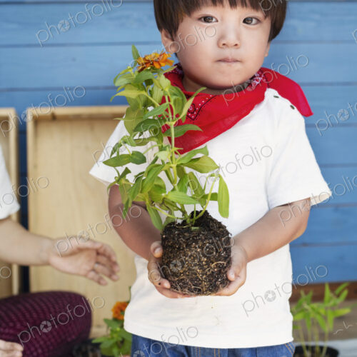Japanese boy standing outside a farm shop, holding flower, looking at camera. Japanese boy standing outside a farm shop, holding flower, looking at camera.