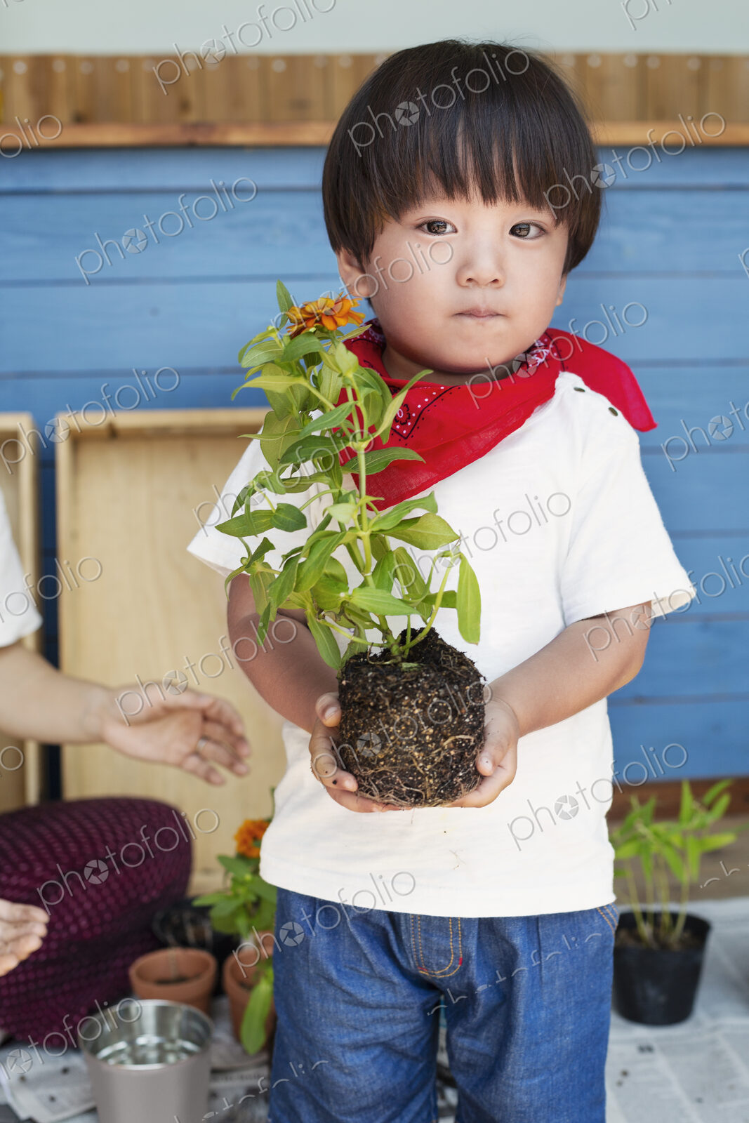 Japanese boy standing outside a farm shop, holding flower, looking at camera.