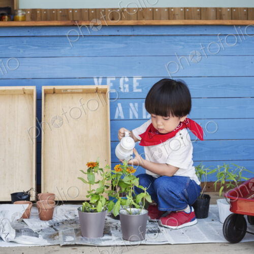 Japanese boy standing outside a farm shop, holding flower, looking at camera. Japanese boy standing outside a farm shop, holding flower, looking at camera.