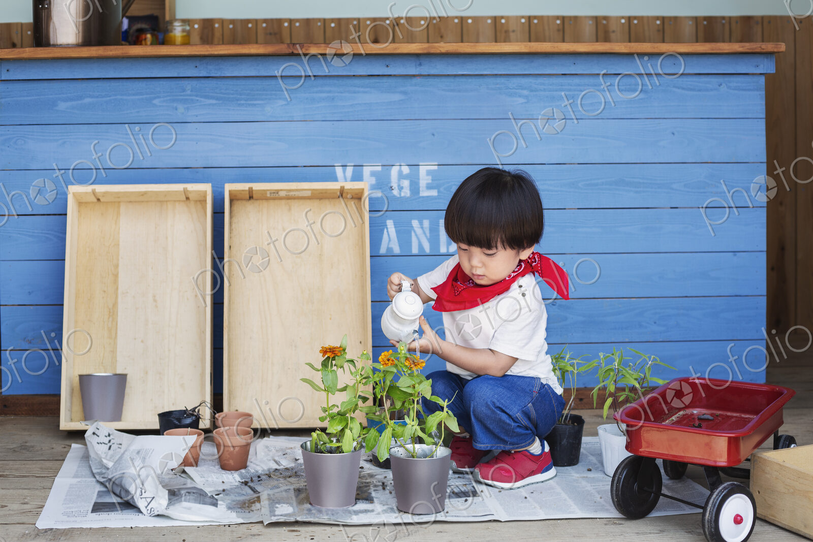 Japanese boy standing outside a farm shop, holding flower, looking at camera.