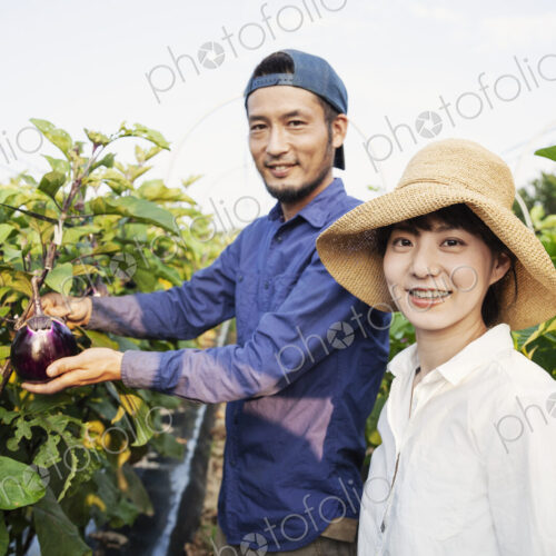 Japanese man wearing cap and woman wearing hat standing in vegetable field, picking… Japanese man wearing cap and woman wearing hat standing in vegetable field, picking…