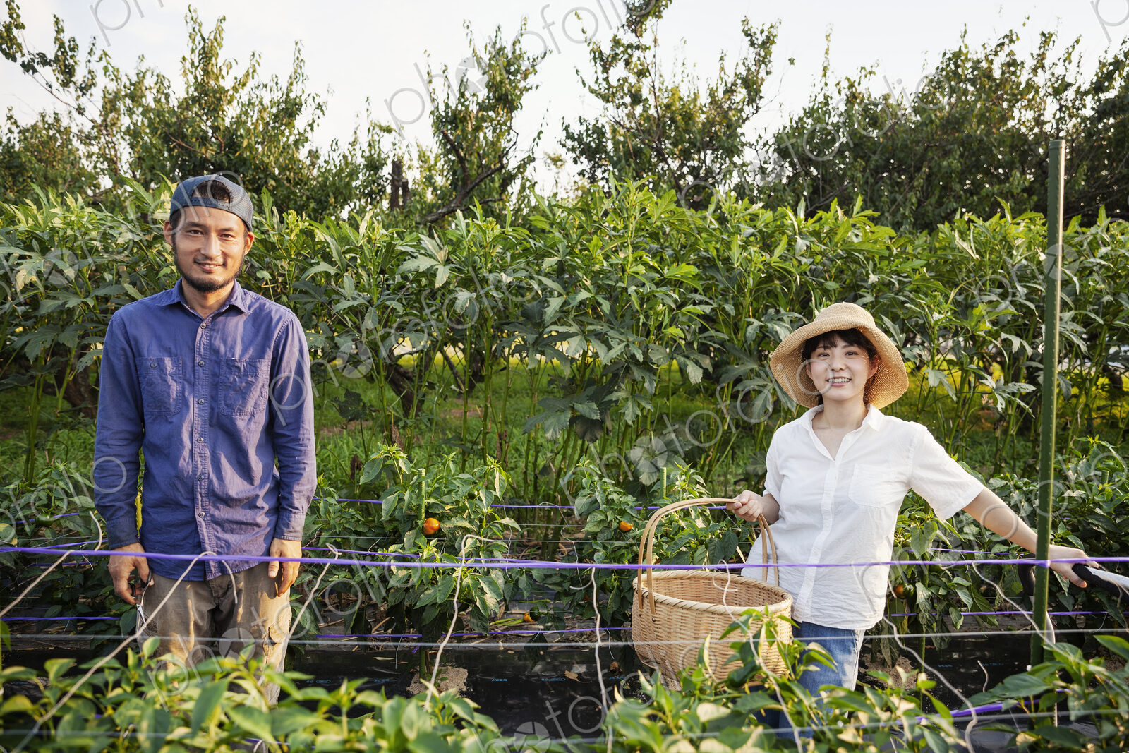 Japanese man wearing cap and woman wearing hat standing in vegetable field, smiling at…