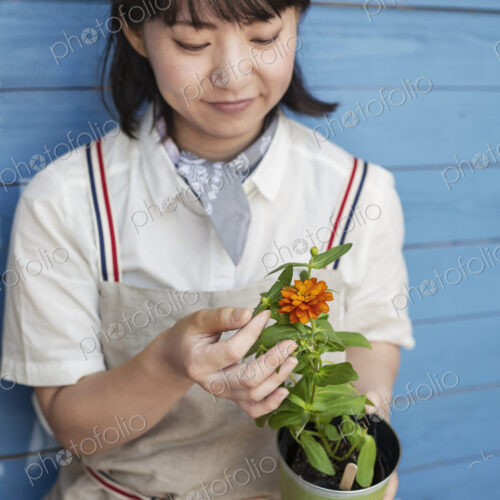 Japanese woman sitting outside a farm shop, planting flowers into flower pots. Japanese woman sitting outside a farm shop, planting flowers into flower pots.